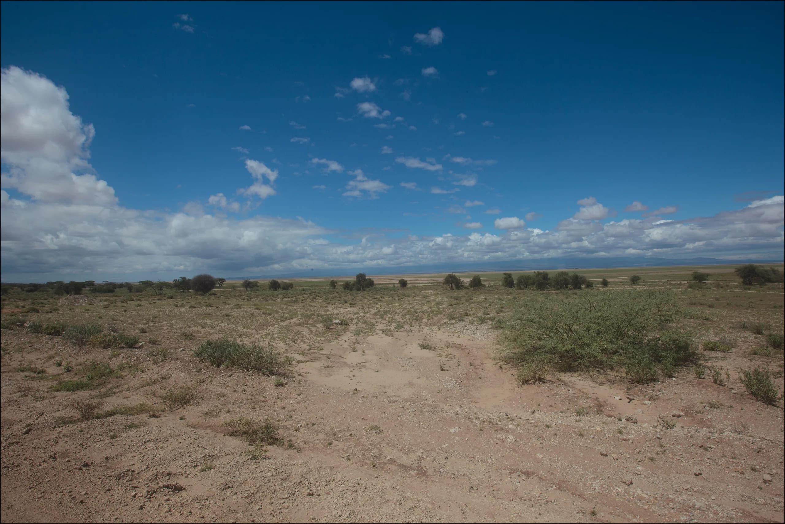 The dry lake bed and swamps of Amboseli