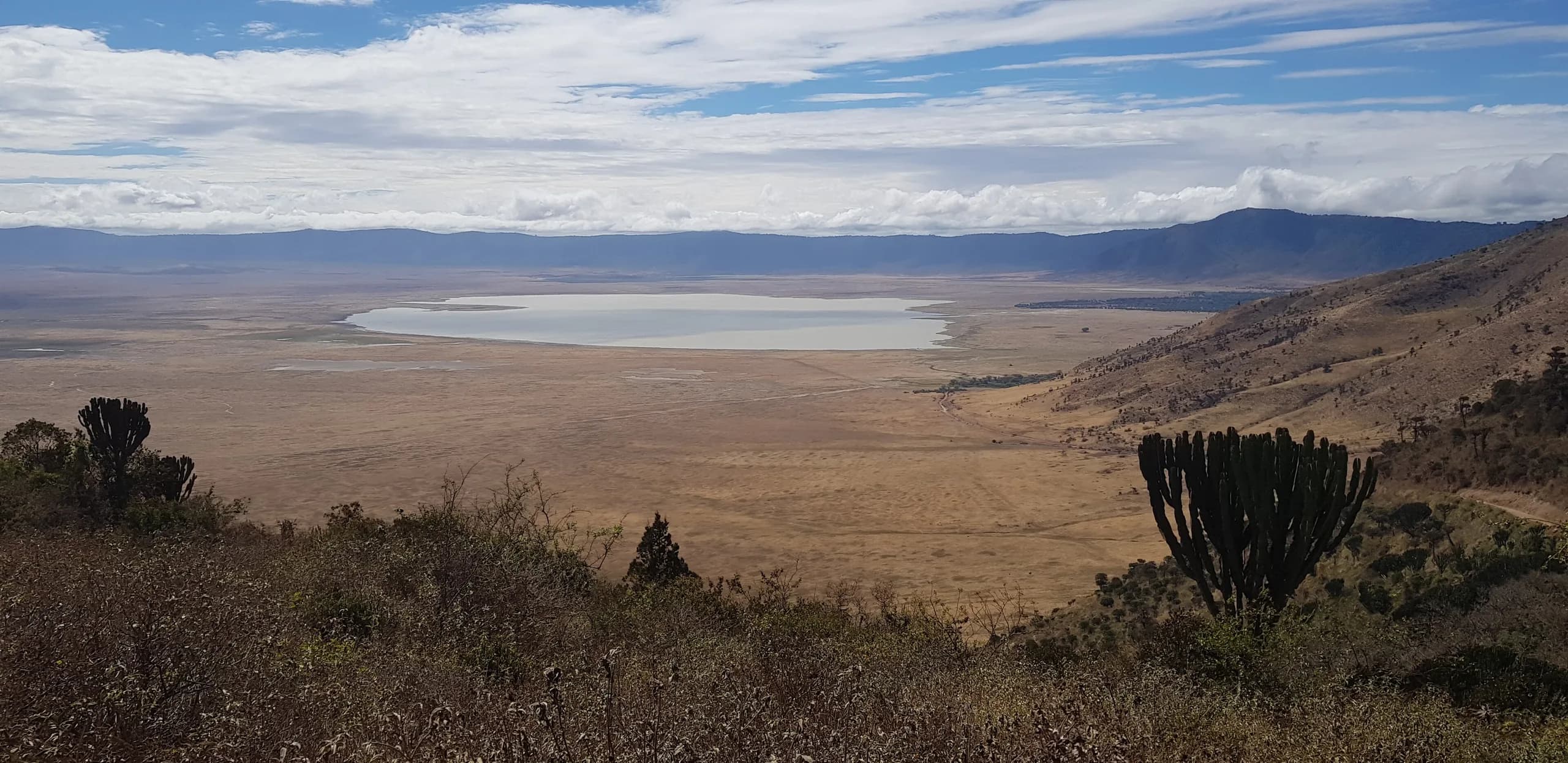 The floor of the Ngorongoro Crater seen from the rim