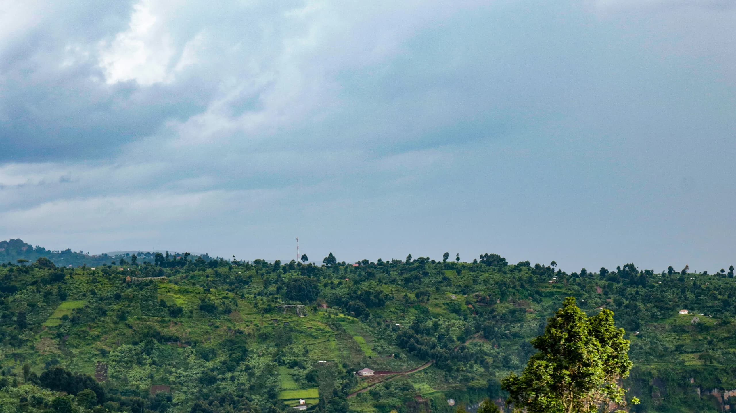 The Mount Elgon slopes above Kapchorwa
