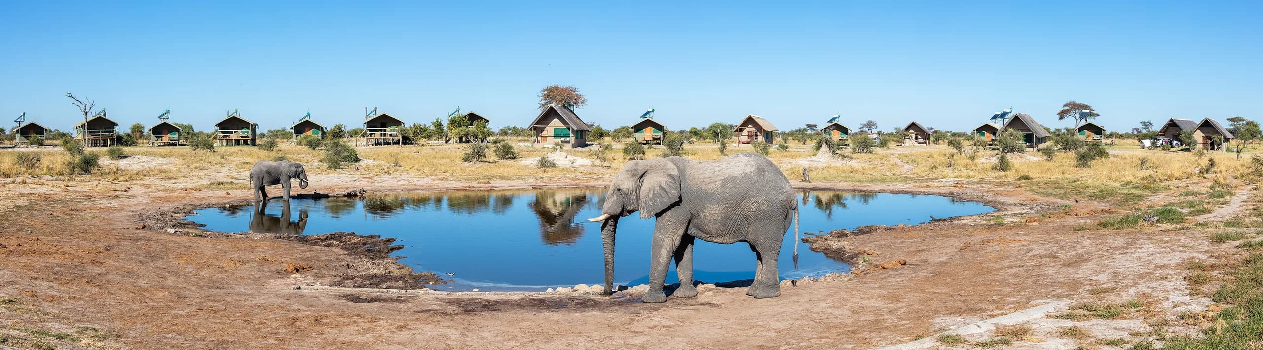 A safari lodge looking over the plains