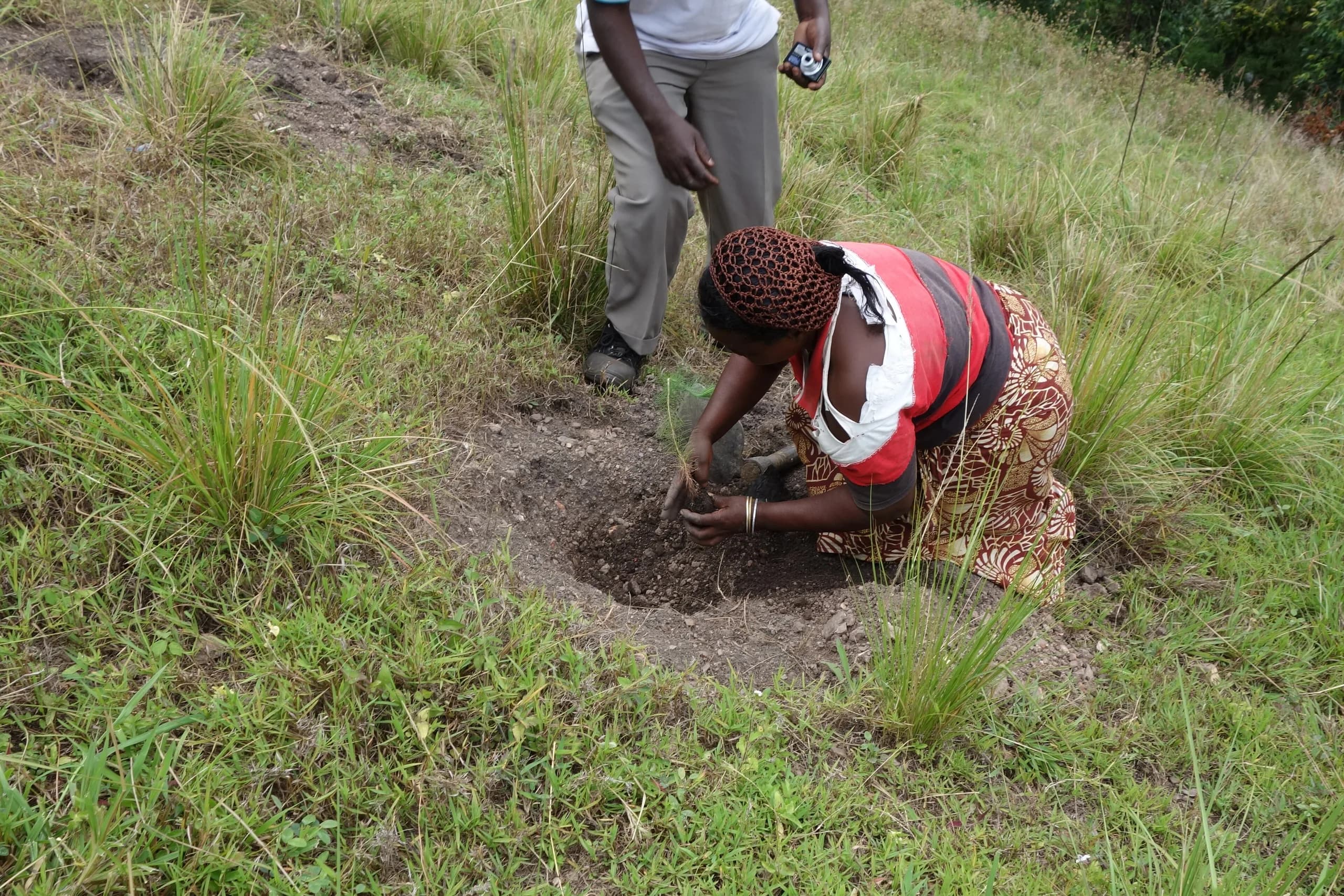 A woman in a patterned wrapper kneels on a grassy Ugandan hillside, firming soil around a young tree seedling in a freshly dug planting pit while a colleague looks on.