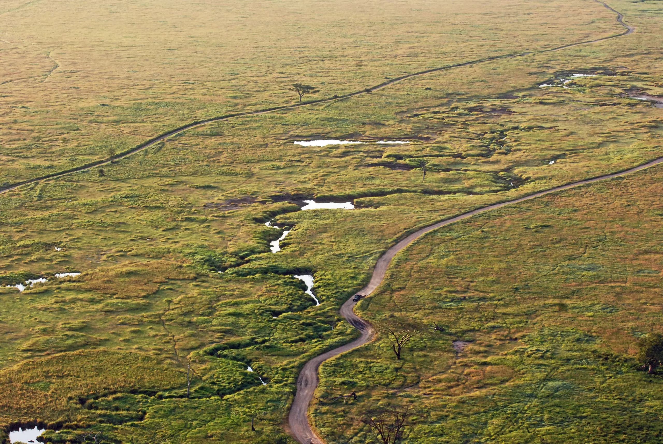 A safari vehicle on a dirt road across the Serengeti