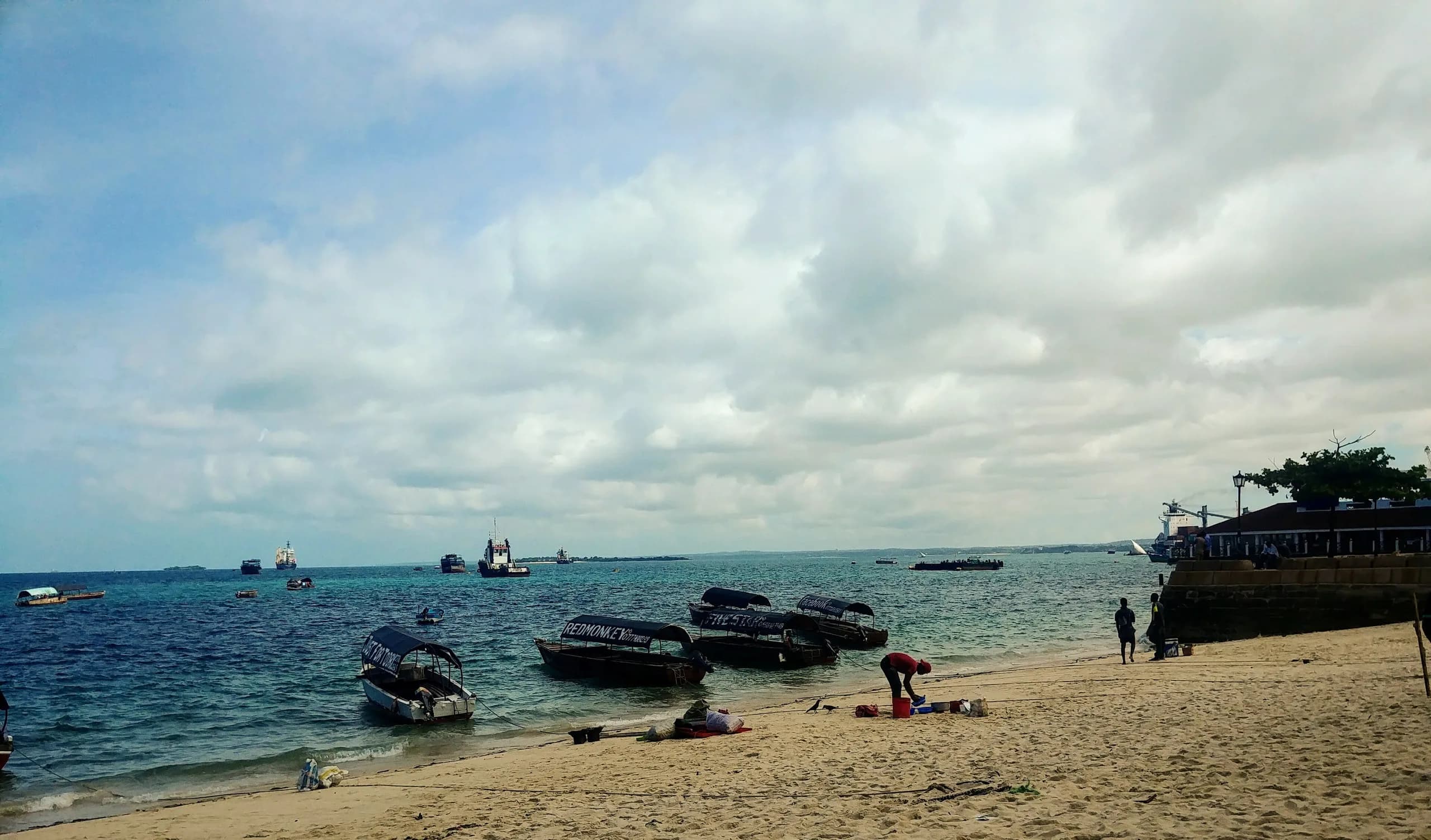 Fishing and tourist dhows off the Zanzibar coast