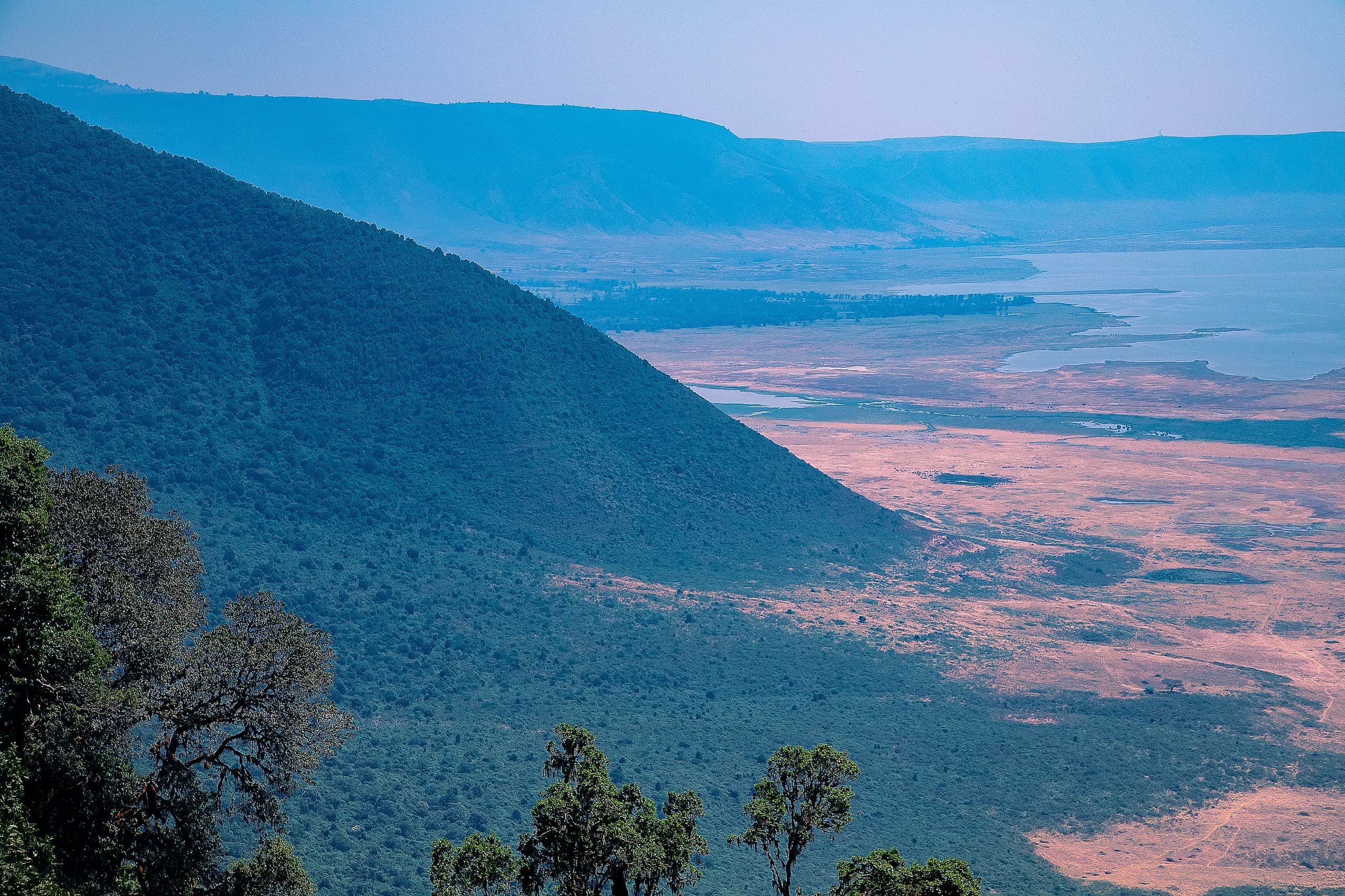 The floor of the Ngorongoro crater
